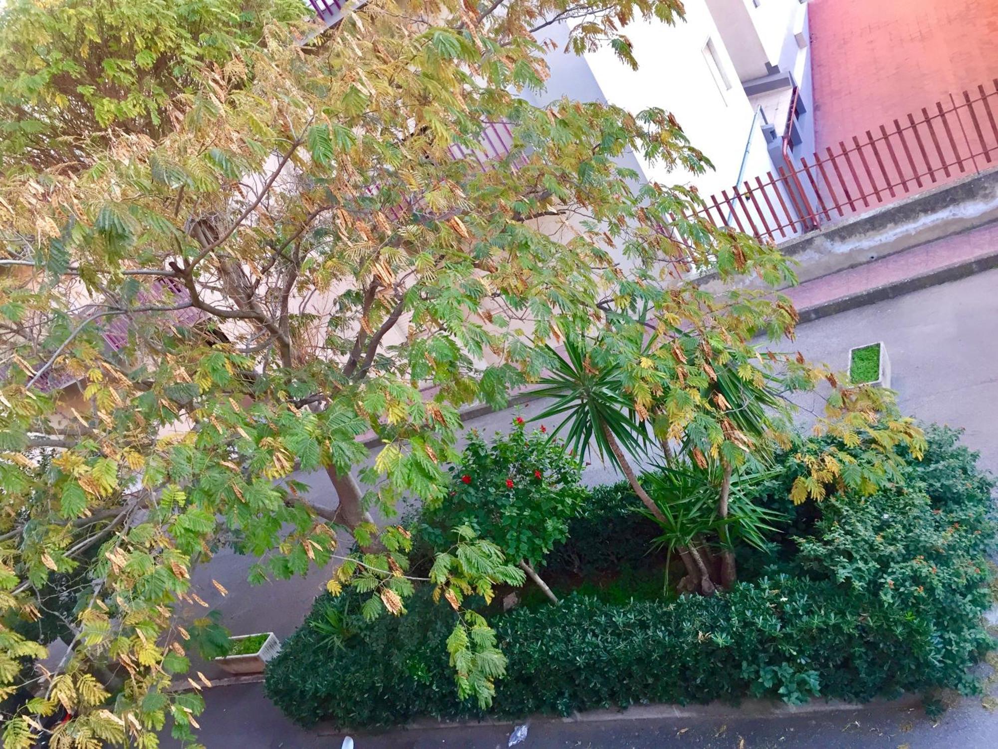 Casa Cristina Apartman Comiso Kültér fotó